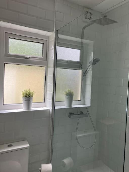 Whitethorn Cottage, Palmfield Ballaghaderreen Kültér fotó